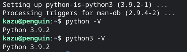 title :『 【Chromebook_Linux】arduino IDEでesp32を使う 』画像説明文 :③　pythonをpython3で実行させるpythonバージョンを確認してみます。